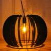 Oval-shaped hanging lamp, sleek and modern.